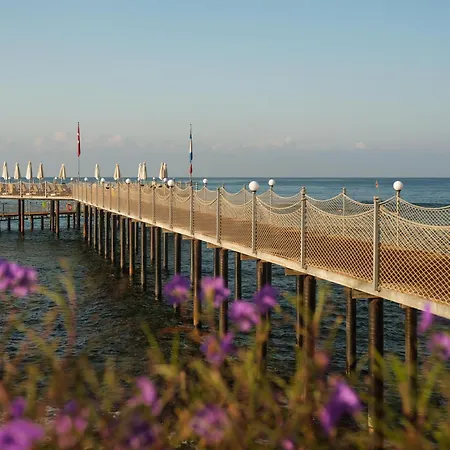 Rubi Platinum & Avsallar