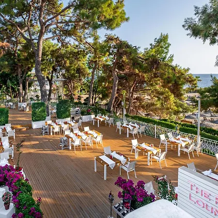 Rubi Platinum & Avsallar