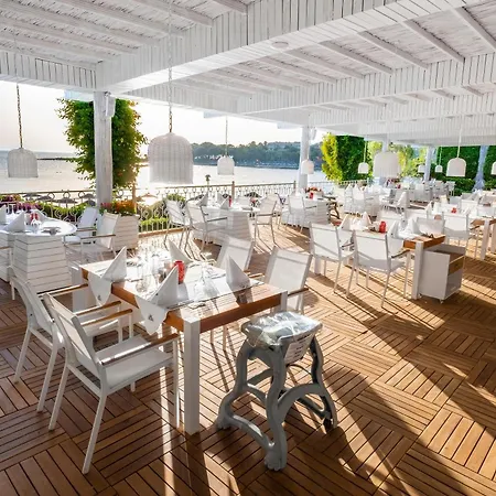 Rubi Platinum & Avsallar